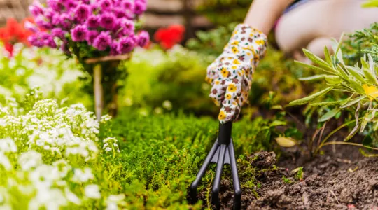 Gardening