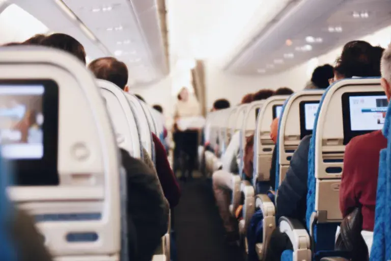 airplane seats | Pixlr