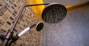 shower head