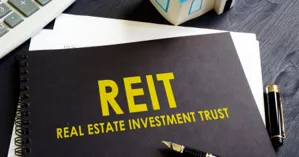 Real Estate Investment Trusts (REITs)