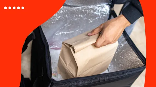 Doordash insulated bag