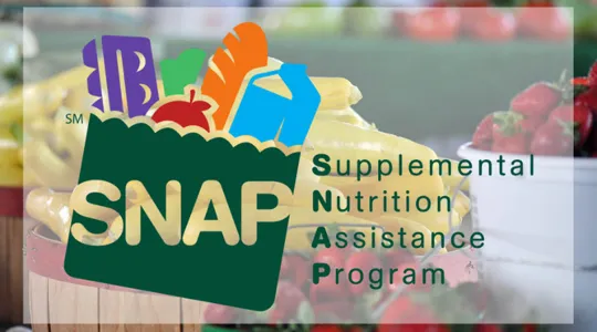 Supplemental Nutrition Assistance Program